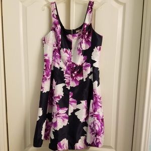 Dress Barn Fit & Flair A-line paneled dress NWT